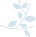 ナナイロテラス